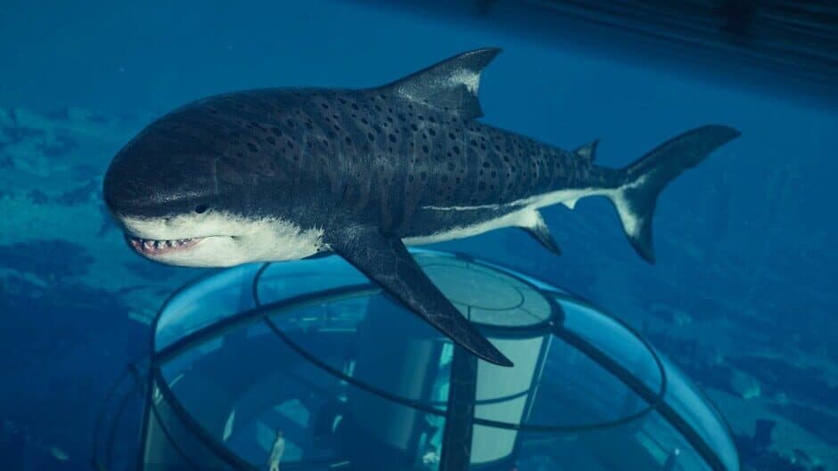 Jurassic World Evolution 2: Park Managers' Collection Pack screenshot 1