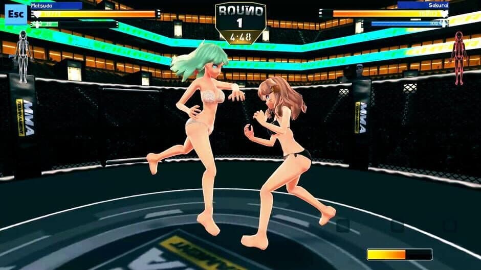 Anime Girls: MMA Tournament screenshot 3