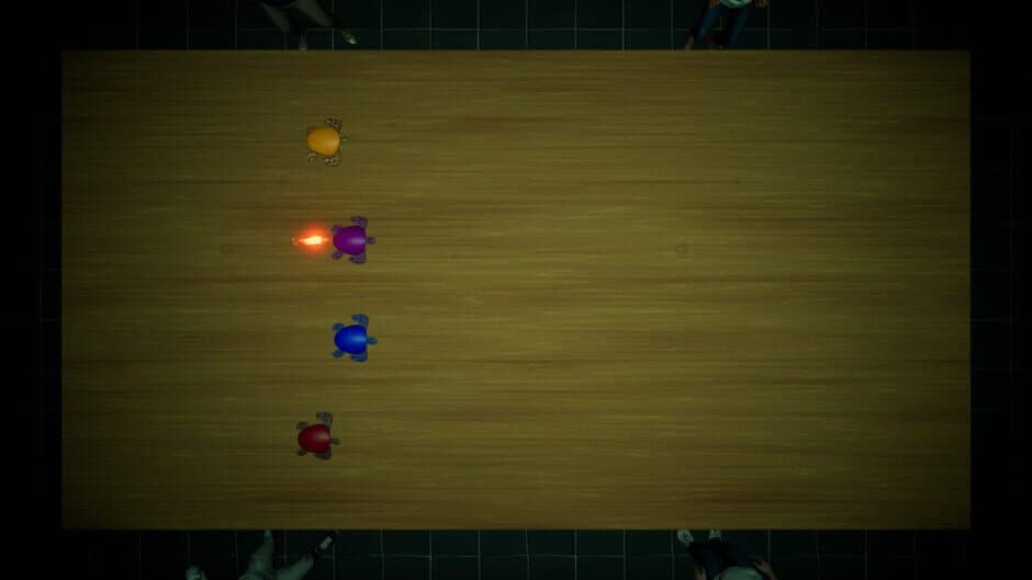 Underground Turtle Races screenshot 3