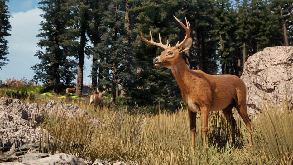 Infinity Rising screenshot 6