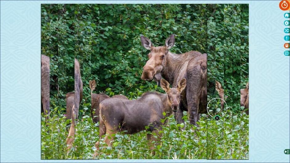 Puzzle Vacations: Nordics screenshot 5