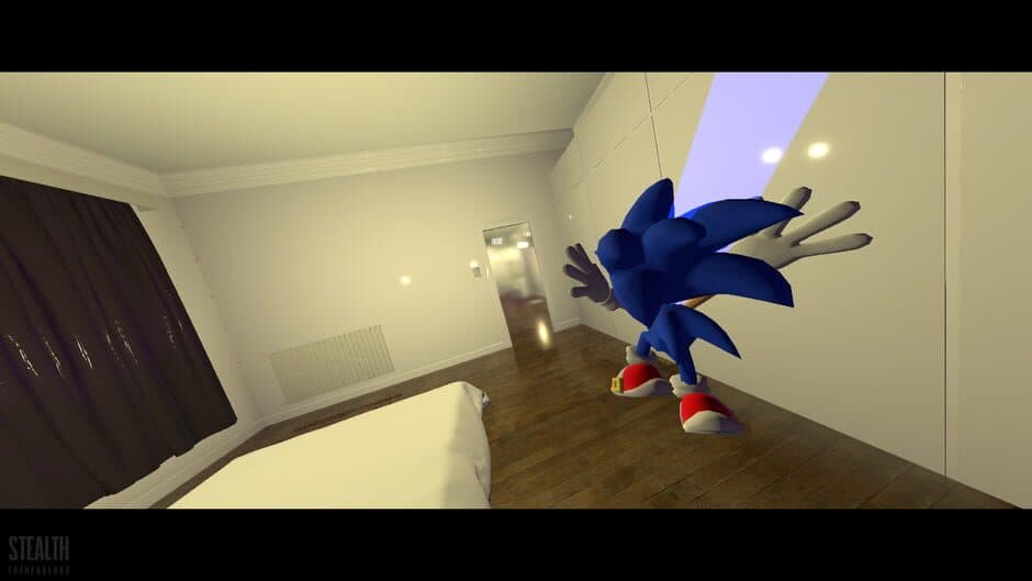 Stealth The Hedgehog screenshot 2