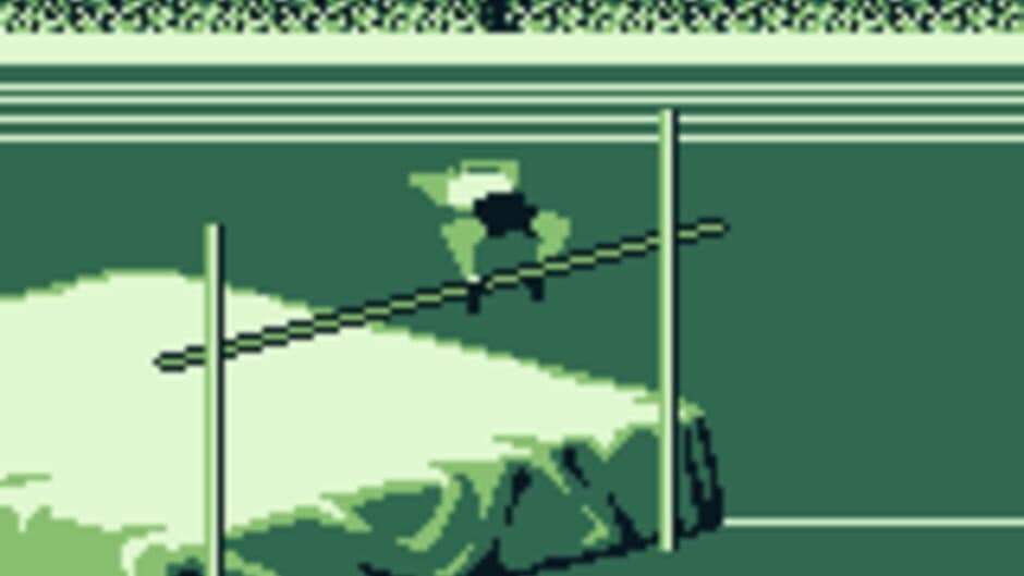 Olympic Summer Games screenshot 2