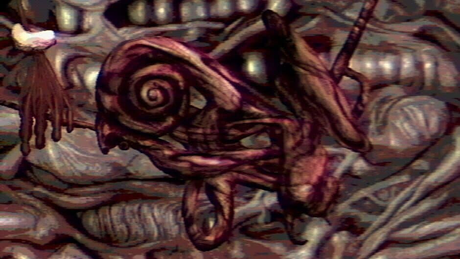 Navicula Meatus screenshot 3