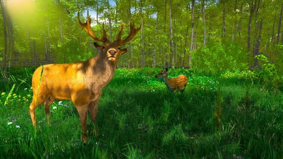 Wild Hunter: Sniper Rifle Adventures Simulator screenshot 6