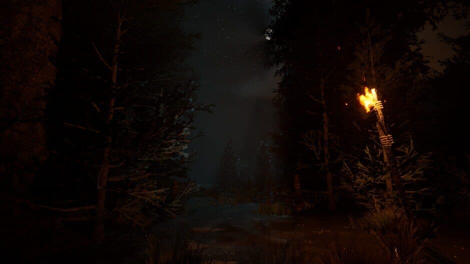 The Veil of the Forgotten screenshot 2