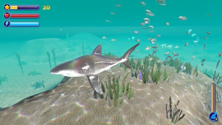 Shark Simulator: Ocean Predator Survival screenshot 4