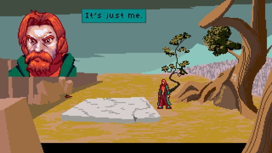 A Woman for All Seasons screenshot 1