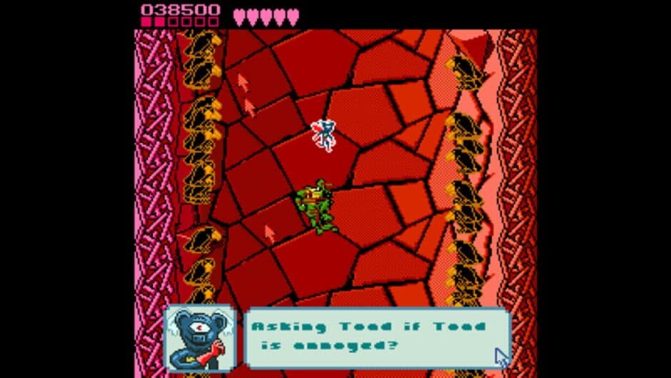 Pause Screen From Battletoads screenshot 3