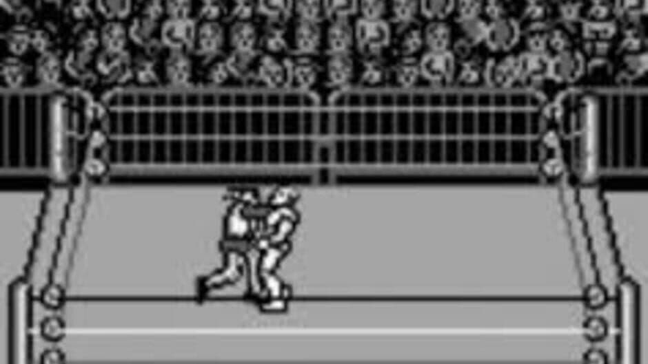 WWF Raw screenshot 2