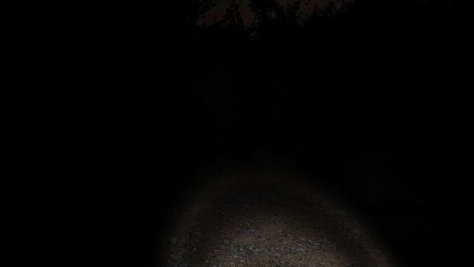 Slender: The Eight Pages screenshot 5