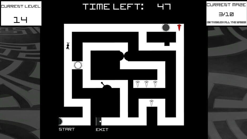 Bunny Mazes screenshot 5