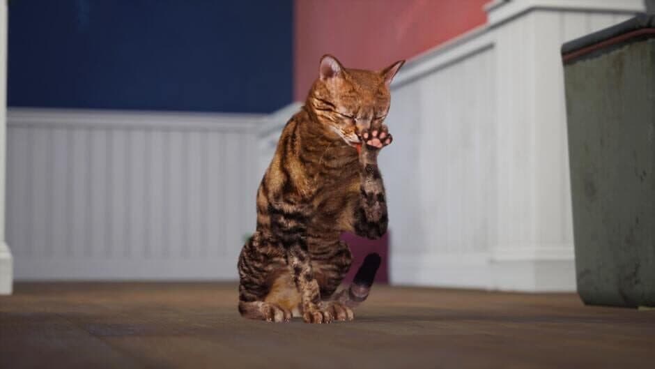 Cat Simulator: Neighbor's Nightmare screenshot 4