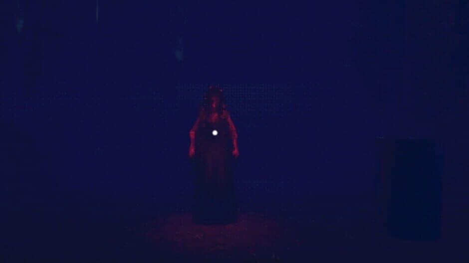 The Devil's Bride screenshot 6