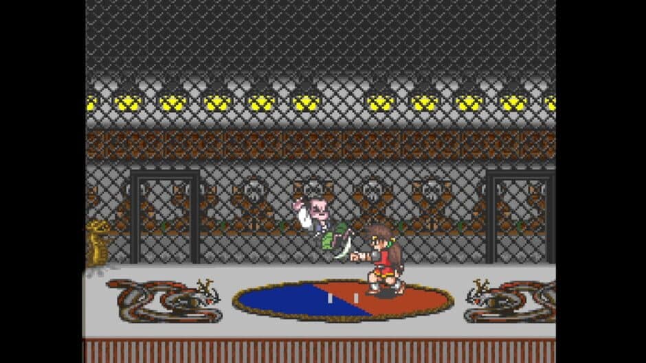 Justice Ninja Casey screenshot 5