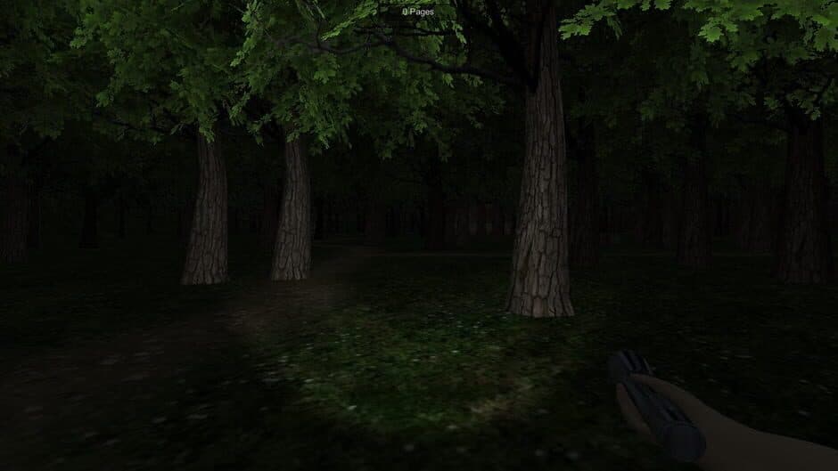 The Dawn Of Slenderman screenshot 1