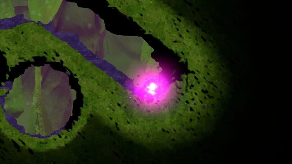 Mashina screenshot 6