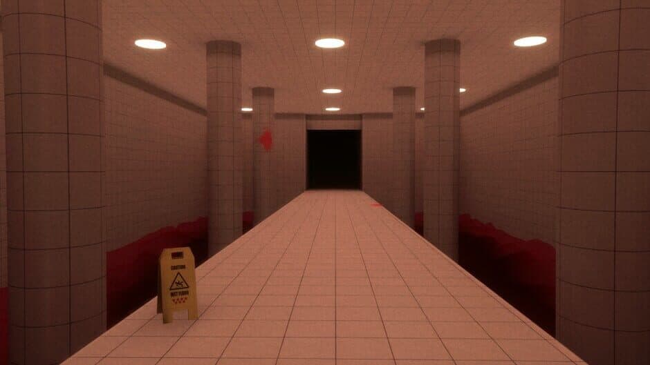 Backrooms Level X screenshot 2