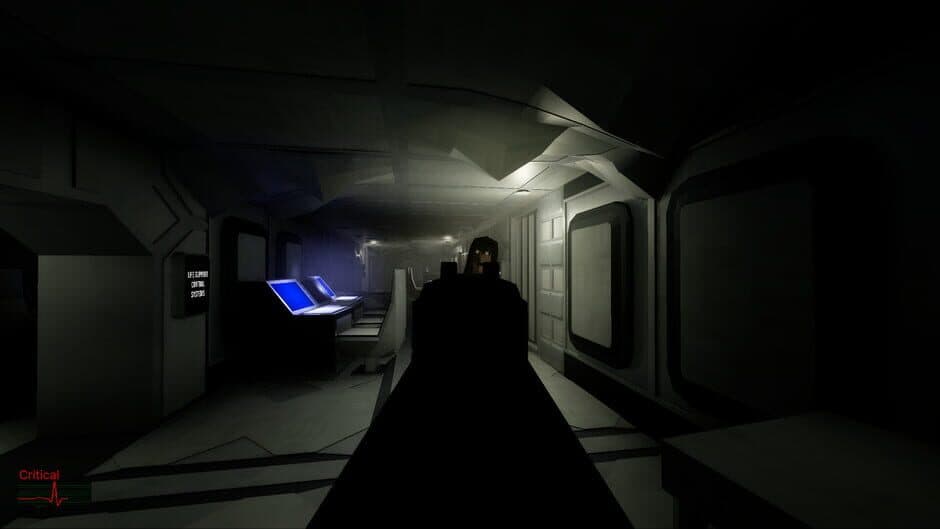 The SS Destiny Disaster screenshot 1