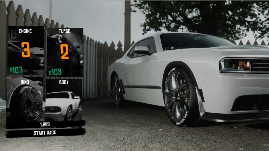 Backyard Boxing screenshot 1