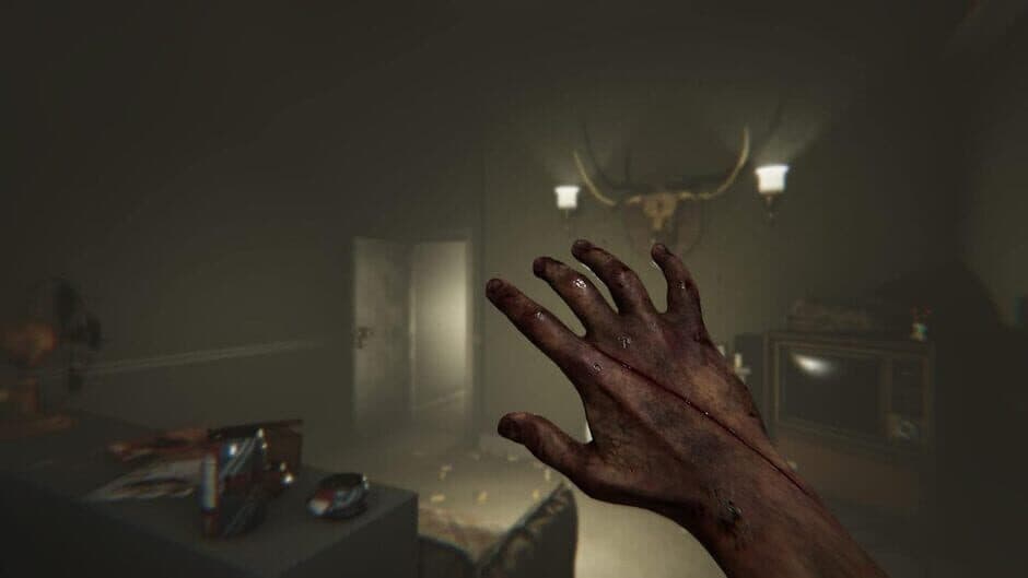 Madison: Possessed Edition screenshot 1