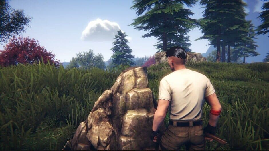 Survival and Rise: Being Alive screenshot 3