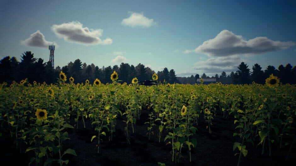 Death From Above: Complete Edition screenshot 5