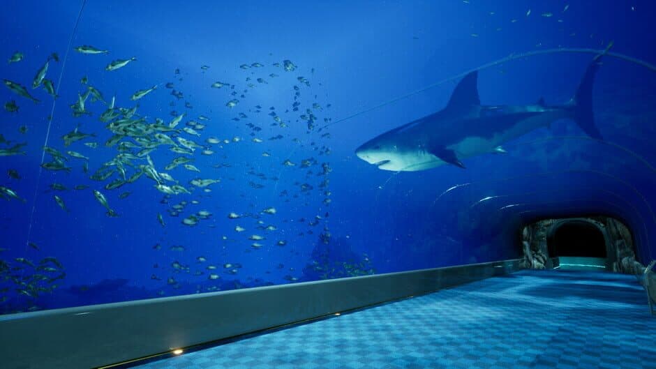 Aquarium at August 32nd screenshot 2