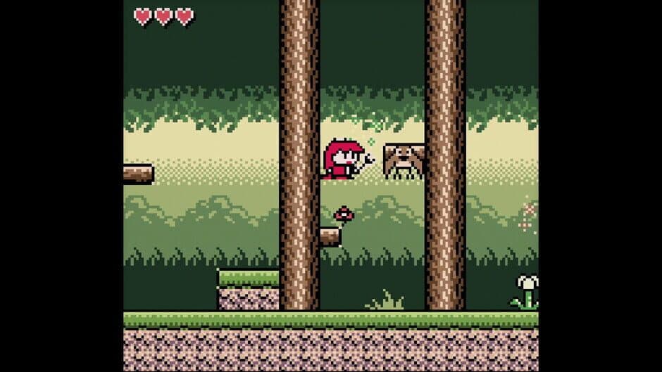 Pokettohiro screenshot 3