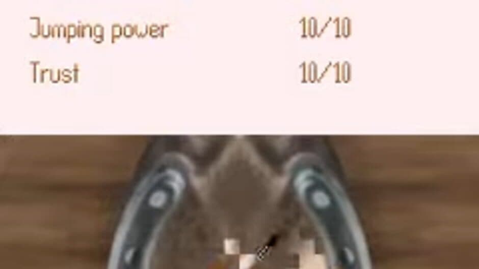 Tim Stockdale's Riding Star screenshot 2