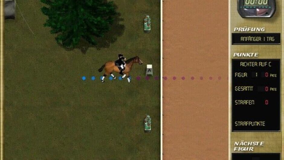 Mary King's Riding Star screenshot 1