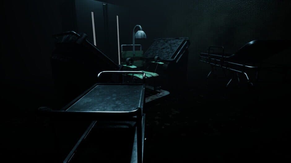 Forest Asylum screenshot 1
