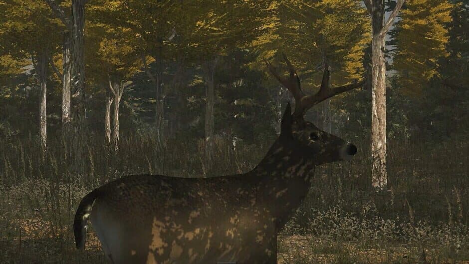 Deer Simulator screenshot 3