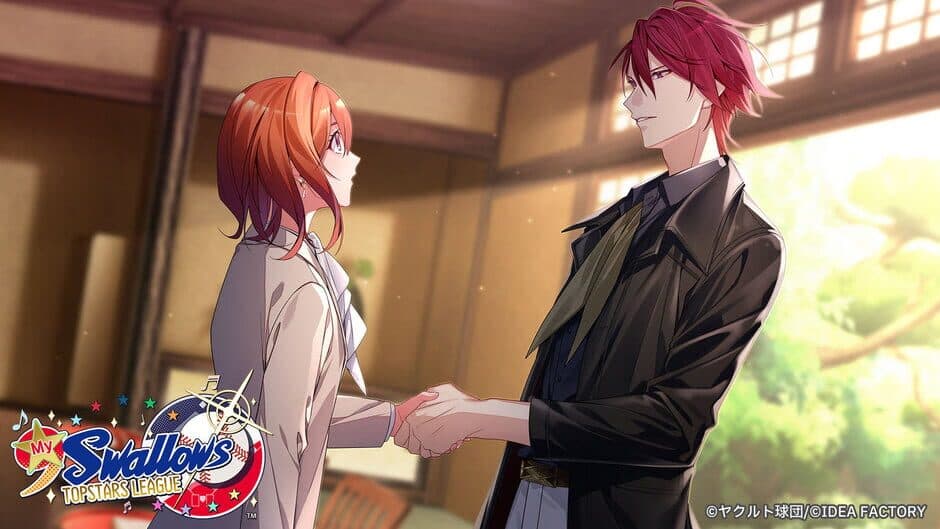 My 9 Swallows: Topstars League screenshot 4