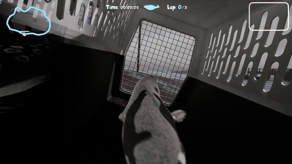 Flipper Frenzy screenshot 2