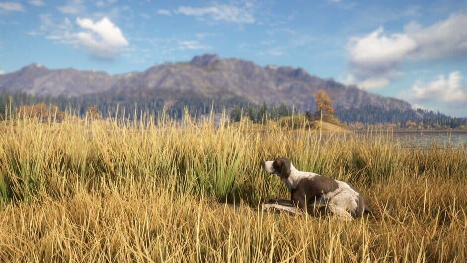 TheHunter: Call of the Wild - German Shorthaired Pointer screenshot 4