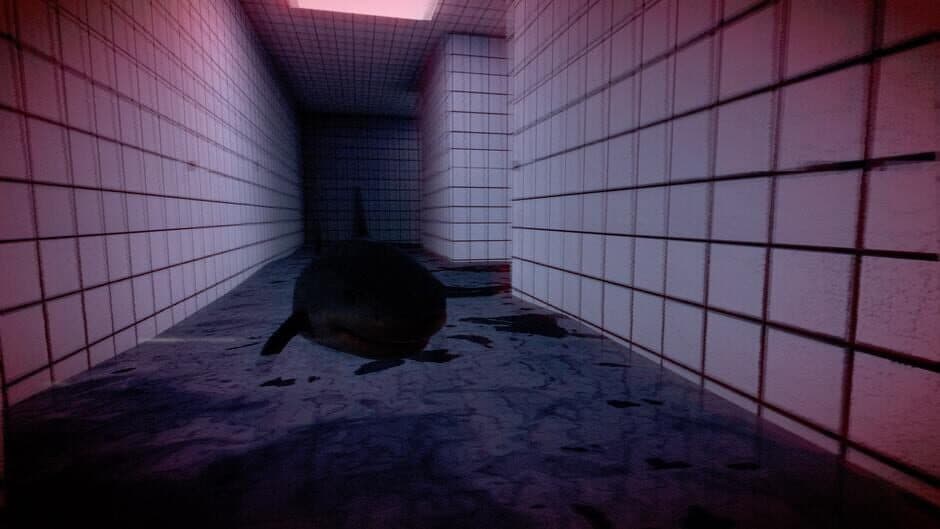 Tralalero Tralala Backrooms Pools screenshot 6