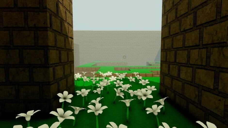 Maze: Interim Odyssey screenshot 3