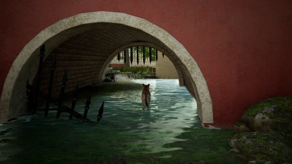 Curiosity screenshot 2