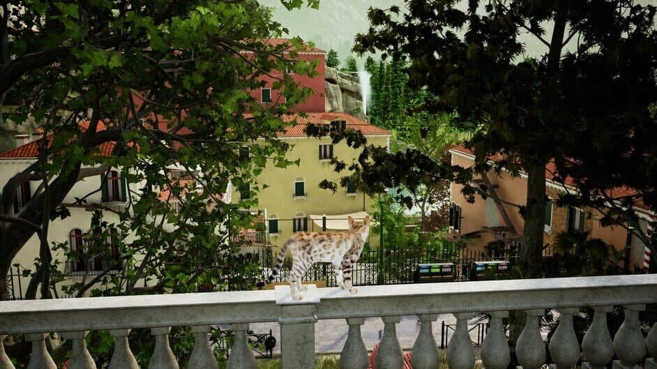 Curiosity screenshot 6