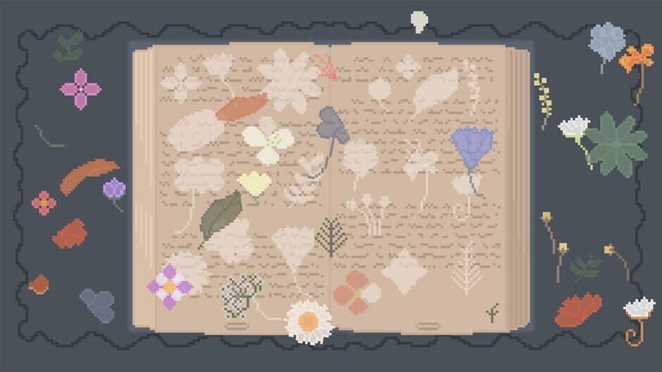 Raccoon Cocoon screenshot 2