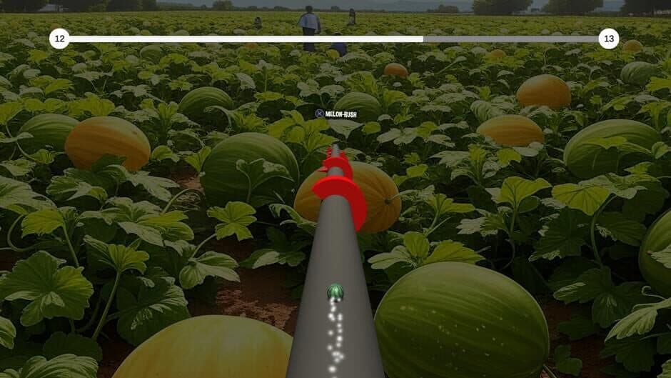 The Jumping Melon Rush 2 screenshot 3