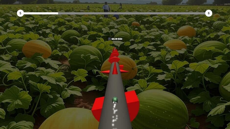 The Jumping Melon Rush 2 screenshot 5