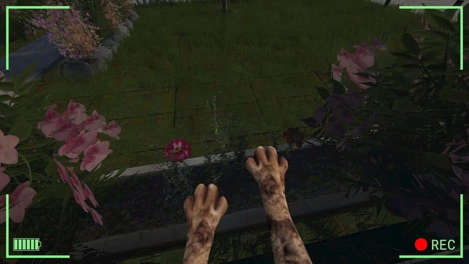 Bodycam Stray Kitty screenshot 4