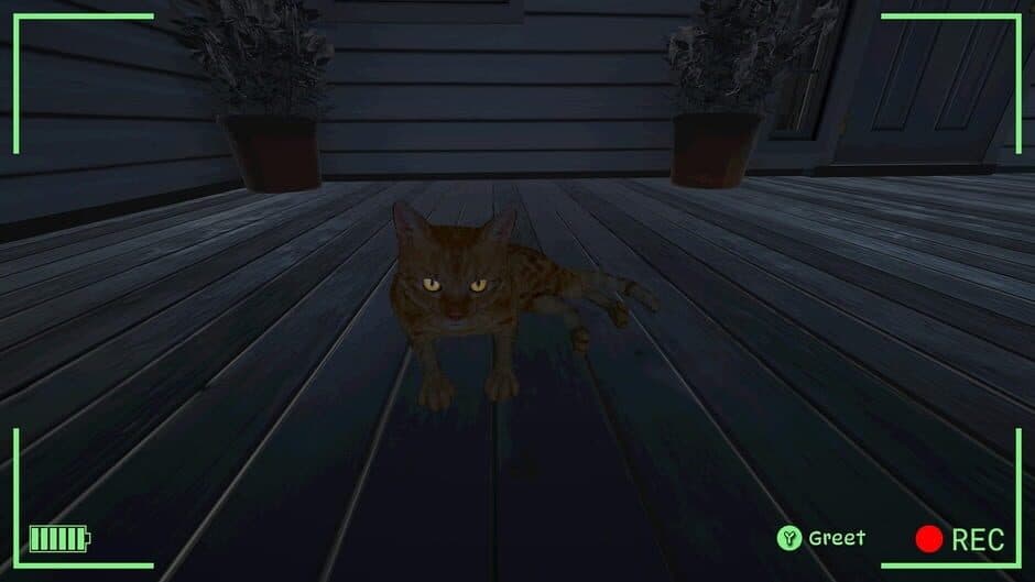 Bodycam Stray Kitty screenshot 5
