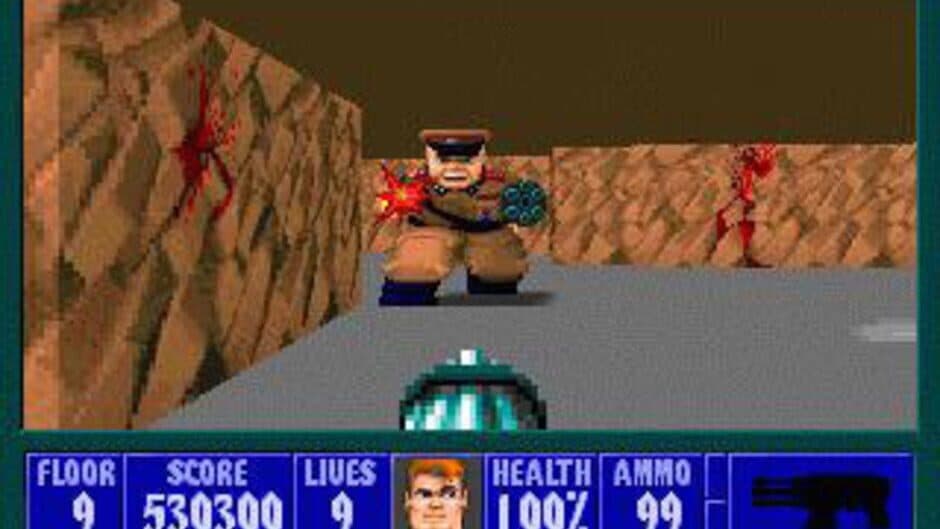 Wolfenstein 3D screenshot 3
