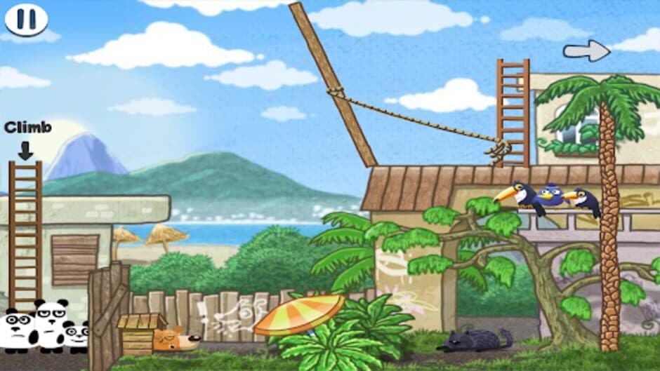 3 Pandas in Brazil screenshot 3