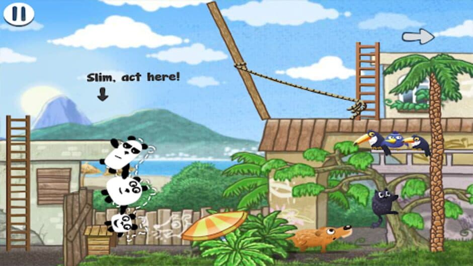 3 Pandas in Brazil screenshot 1