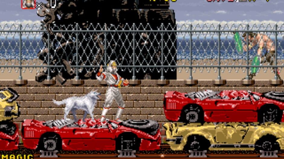 Shadow Dancer screenshot 1