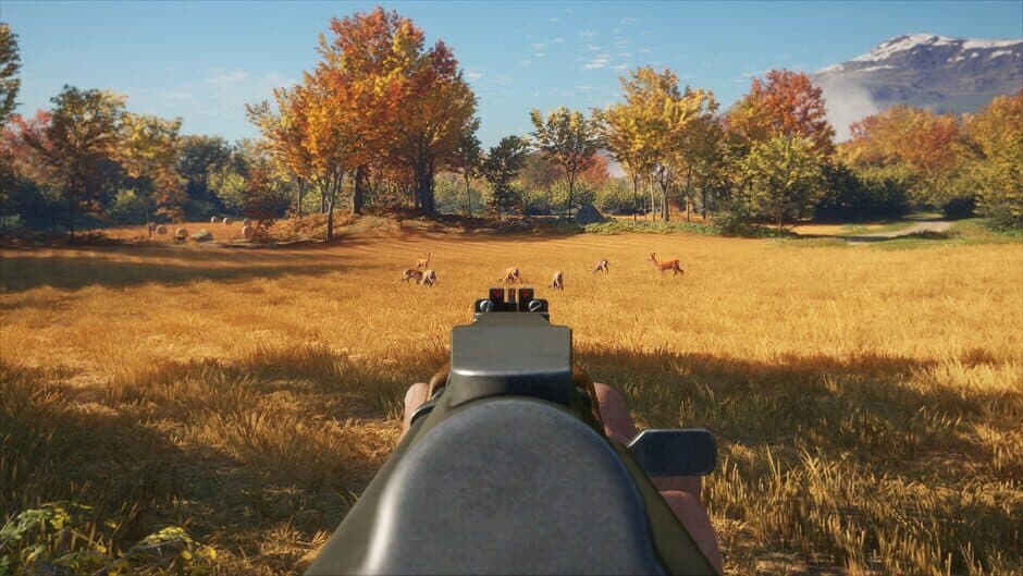 TheHunter: Call of the Wild - Rapid Hunt Rifle Pack screenshot 2